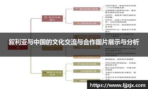 叙利亚与中国的文化交流与合作图片展示与分析