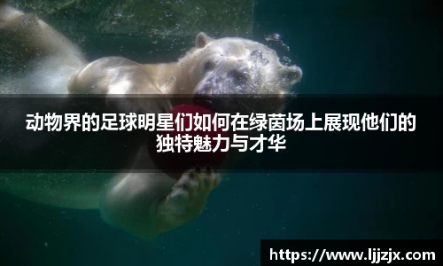 竞博JBO电竞
